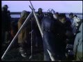 1985 Springtime Outdoors in Arviat, NU Part 1 of 2 1985 Springtime Outdoors in Arviat, NU Part 1 of 2